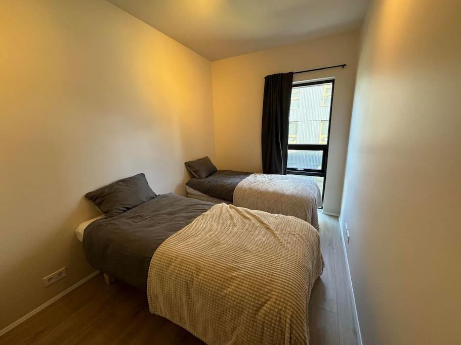 New And Spacious Flat By The Sea * Reykjavik